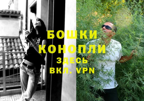 ПСИЛОЦИБИНОВЫЕ ГРИБЫ Лиски