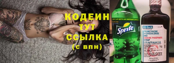 прущий лед Корсаков