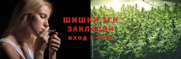 тгк Краснослободск