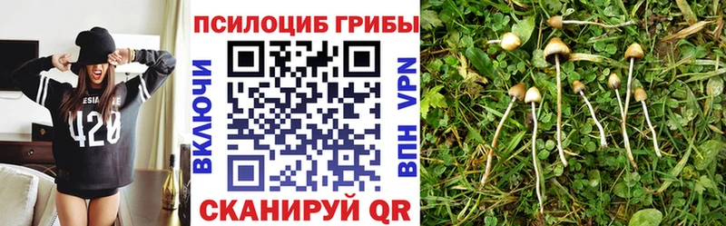 Галлюциногенные грибы Magic Shrooms  Пятигорск 