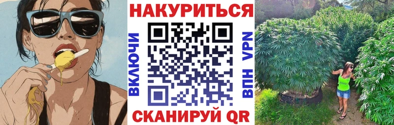 МАРИХУАНА индика  купить наркотик  мориарти телеграм  Пятигорск 