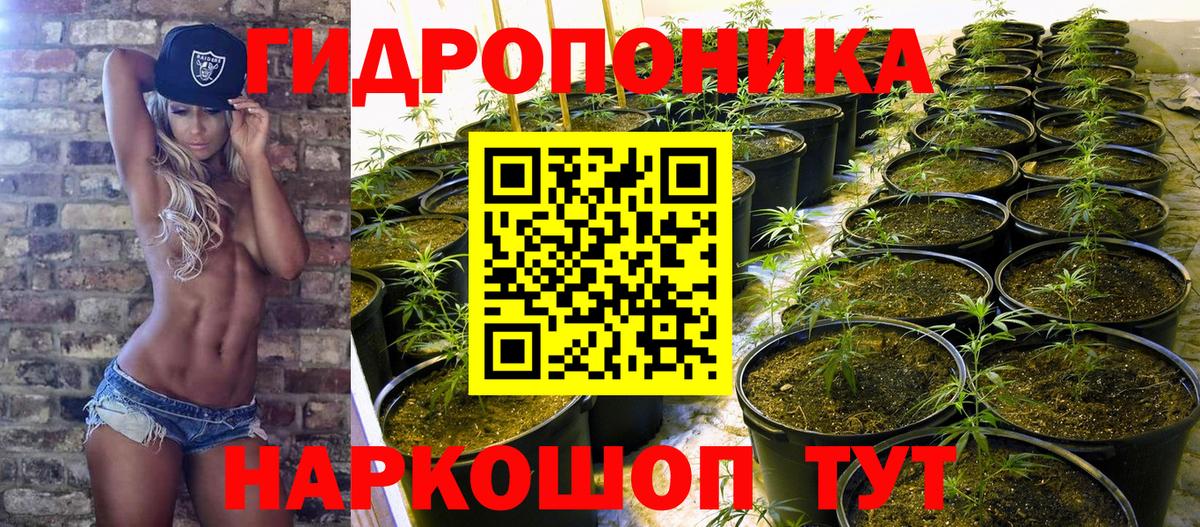 Конопля VHQ  Каннабис Amnesia  Пятигорск  Бошки марихуана SATIVA & INDICA  Бошки марихуана конопля 